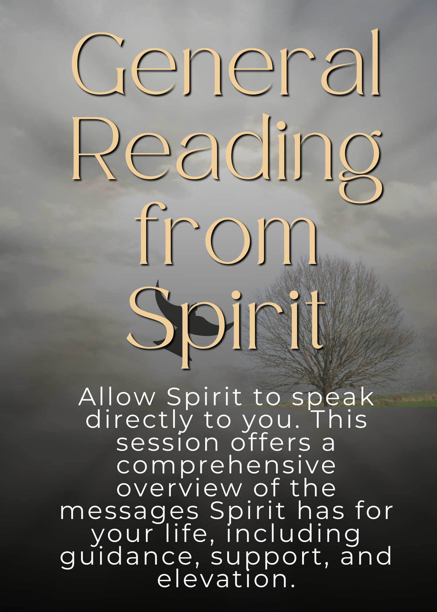 General Reading from Spirit- 1 hour and 30 Mins