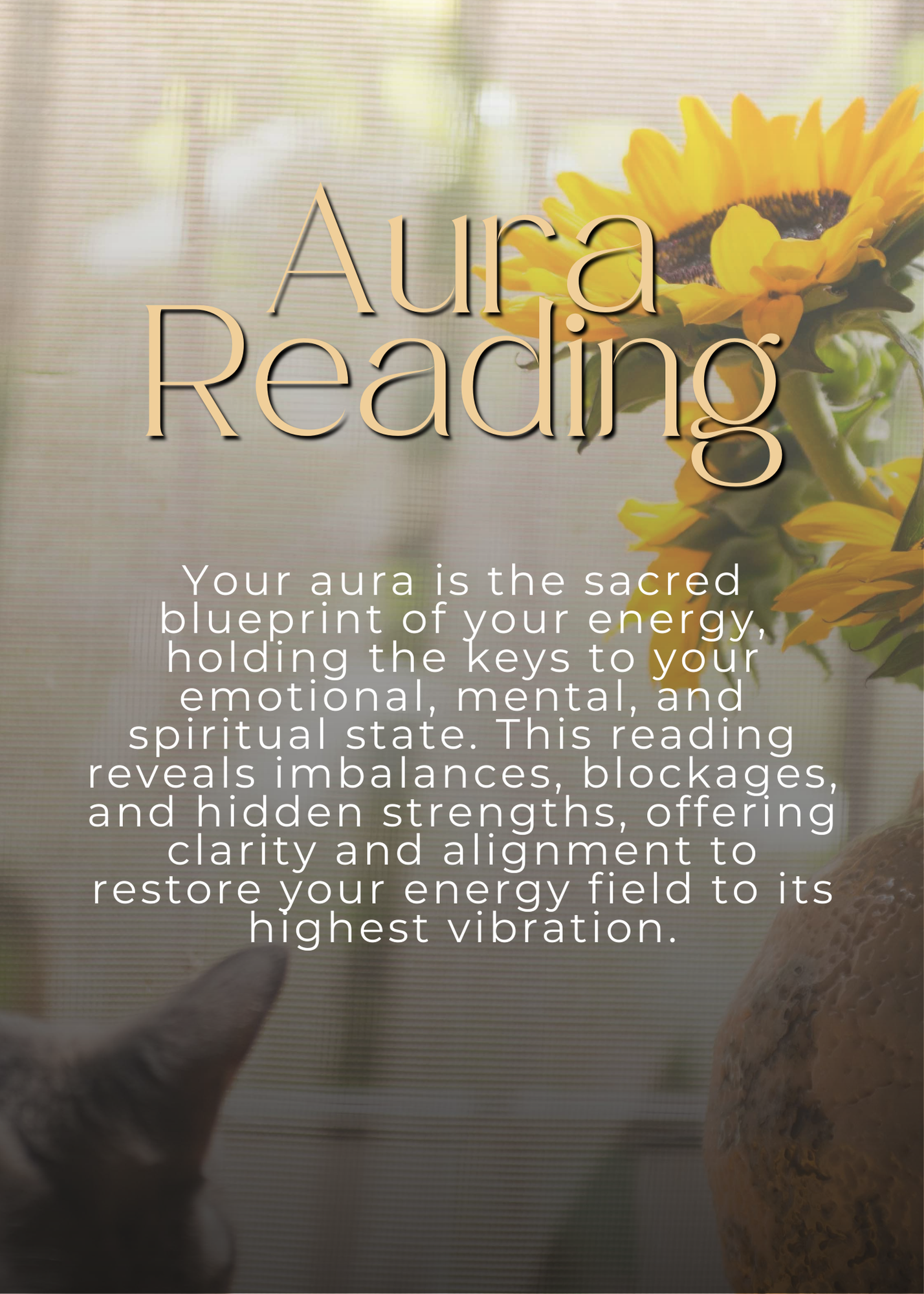 Aura Reading-30 Min